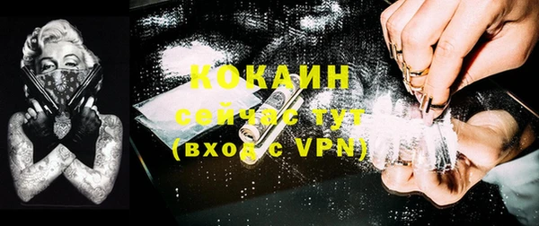 ALPHA-PVP Няндома