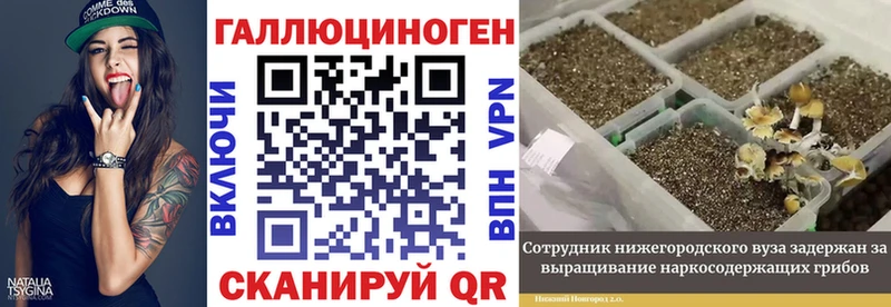 блэк спрут онион  купить наркоту  Чайковский  Псилоцибиновые грибы Psilocybine cubensis 