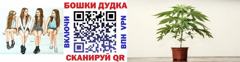 Бошки марихуана гибрид  Чайковский 